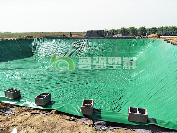 養(yǎng)魚(yú)池